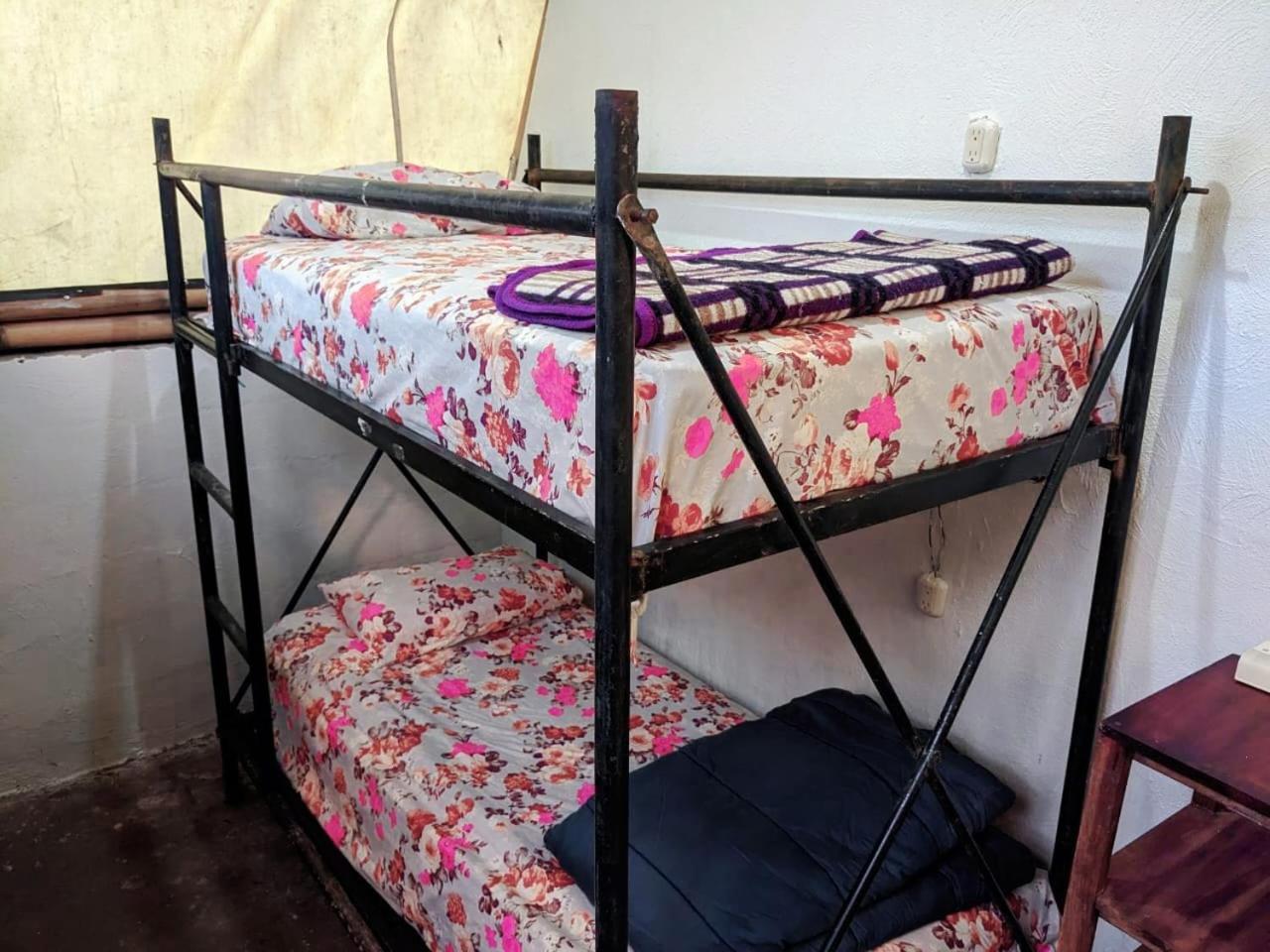 Gran Colibri Adventure Park Hostel San Pedro La Laguna Bilik gambar