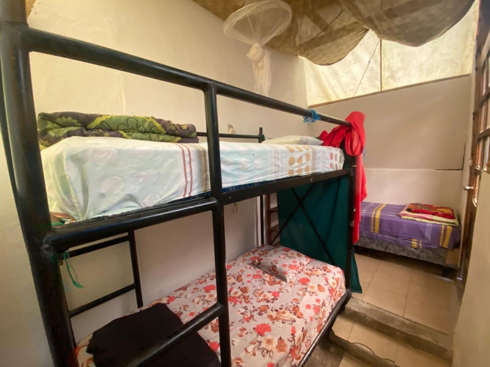 Gran Colibri Adventure Park Hostel San Pedro La Laguna Luaran gambar